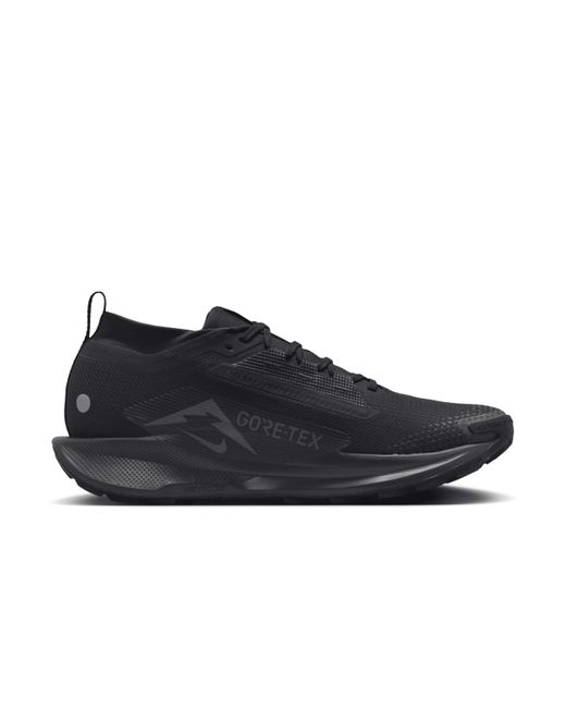 Nike Blue Pegasus Trail 5 Gore-Tex Waterproof Trail-Running Shoes for men