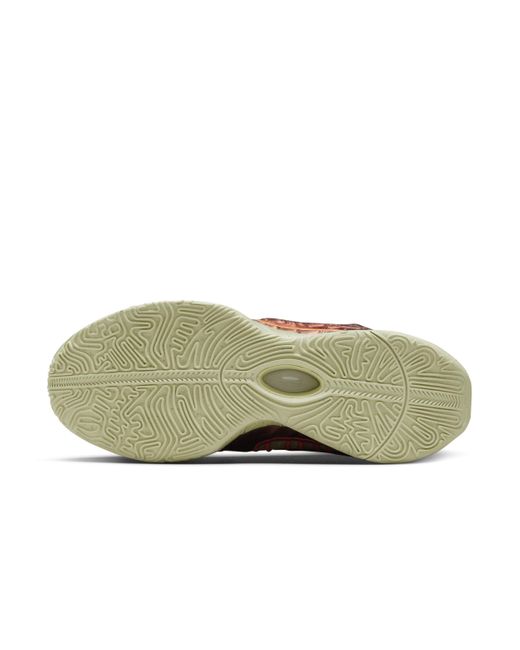 Nike Brown Lebron Xxi "queen Conch" Basketball Shoes for men