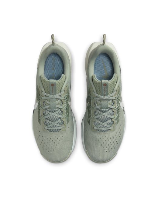 Nike Gray Pegasus Trail 5 Trail-running Shoes for men