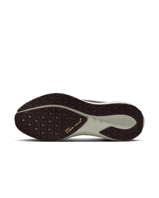 Nike Gray Pegasus 41 Gore-Tex Waterproof Road Running Shoes for men