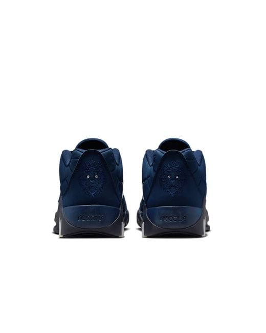 Nike Blue Lebron Witness 9 Basketball Shoes for men