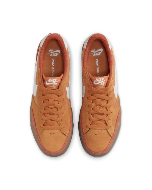 Nike Brown Sb Zoom Pogo Plus Skate Shoes
