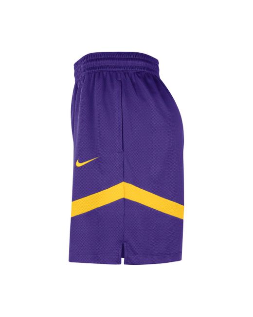 Nike Purple Los Angeles Lakers Icon Practice ' Dri-Fit Nba 20.5Cm (Approx.) Shorts for men