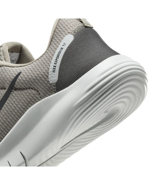 Nike Gray Flex Experience Run 12 Road Running Shoes for men