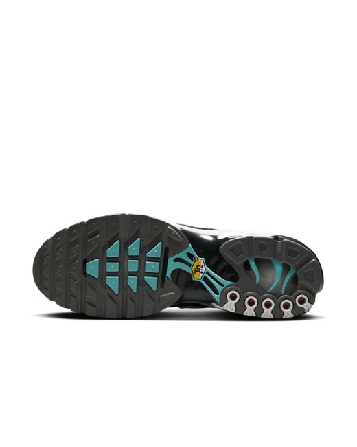Nike Blue Air Max Plus Shoes for men