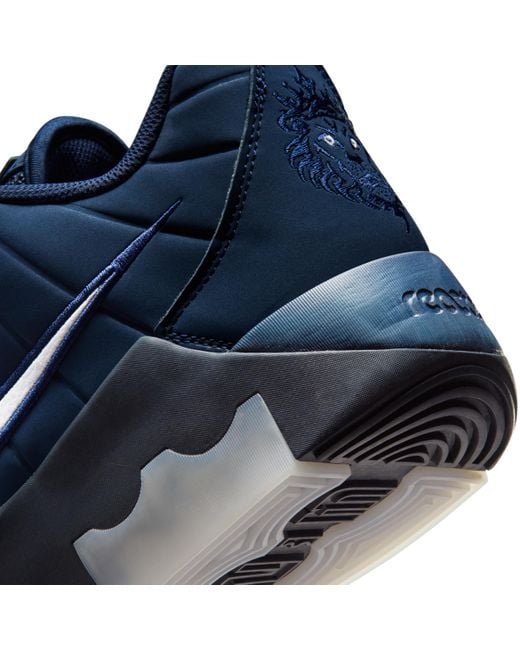 Nike Blue Lebron Witness 9 Basketball Shoes for men