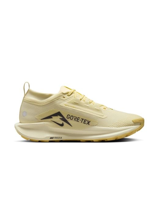 Scarpa Impermeabile Da Trail Running Pegasus Trail 5 Gore-Tex – Uomo di Nike in Natural da Uomo