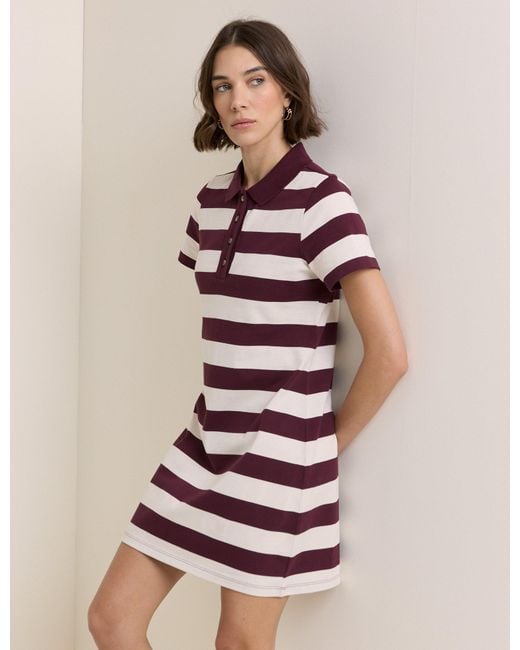 Nobody's Child Pink Burgundy Striped Jersey Polo Collins Mini Dress