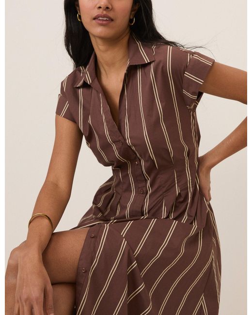 Nobody's Child Brown Pinstripe Jane Shirt Dress