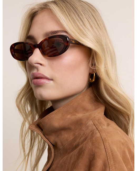 Nobody's Child Brown Tortoiseshell Oval Halo Sunglasses