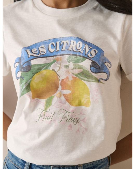Nobody's Child Blue Lemon Graphic Shrunken T-Shirt