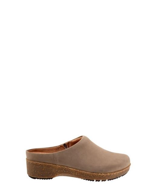 Softwalk® Brown Arvada Mule
