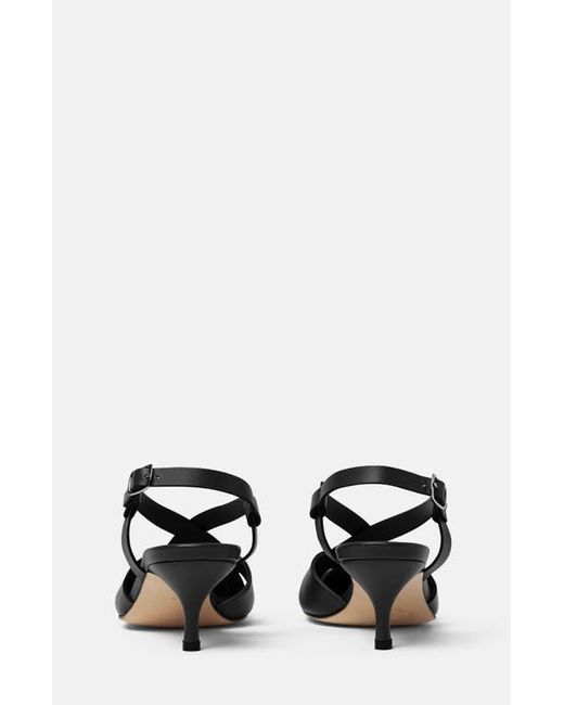 Scarosso Black Clio Pumps