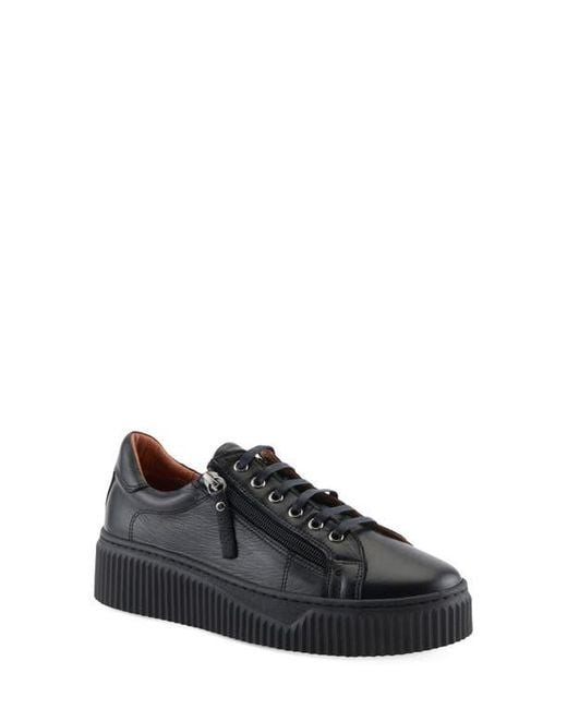 Spring Step Black Vibe Leather Sneaker