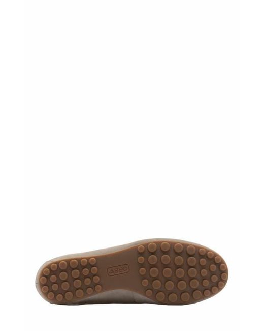 ABEO Brown Harbor Loafer