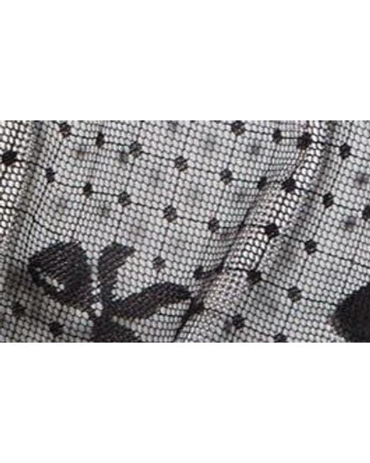 Kilo Brava Brown Bow Dotted Mesh Shorts