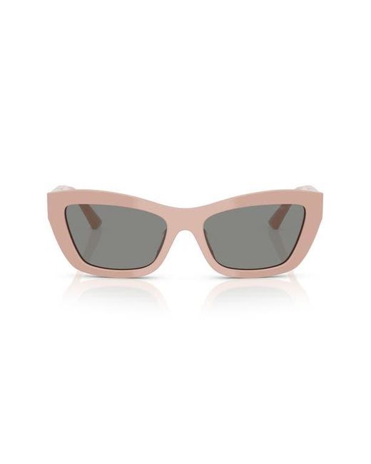 Jimmy Choo Gray 54Mm Cat Eye Sunglasses for men