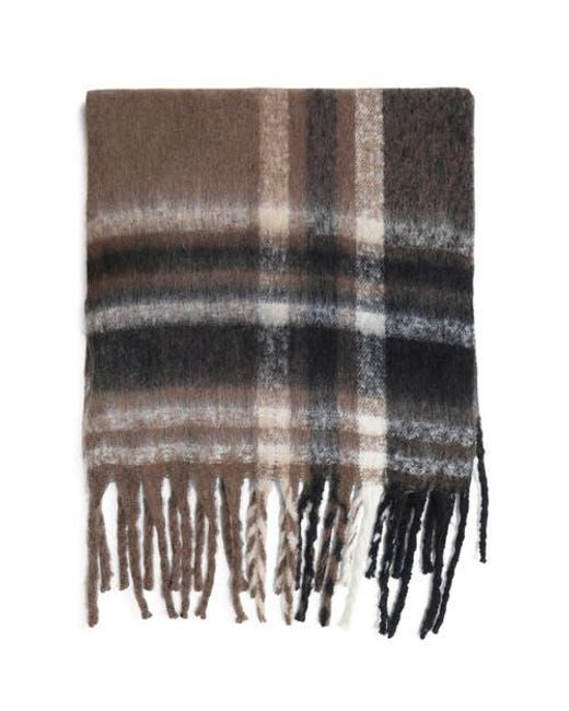 Belle & Bloom Brown Timeless Scarf