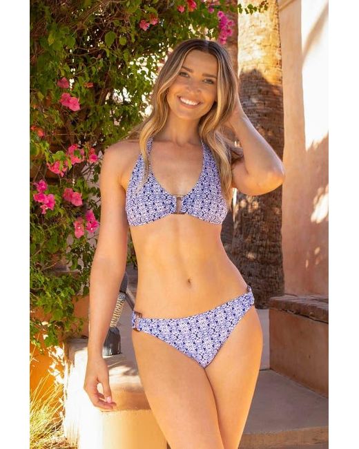 Helen Jon Blue Tortoise Halter