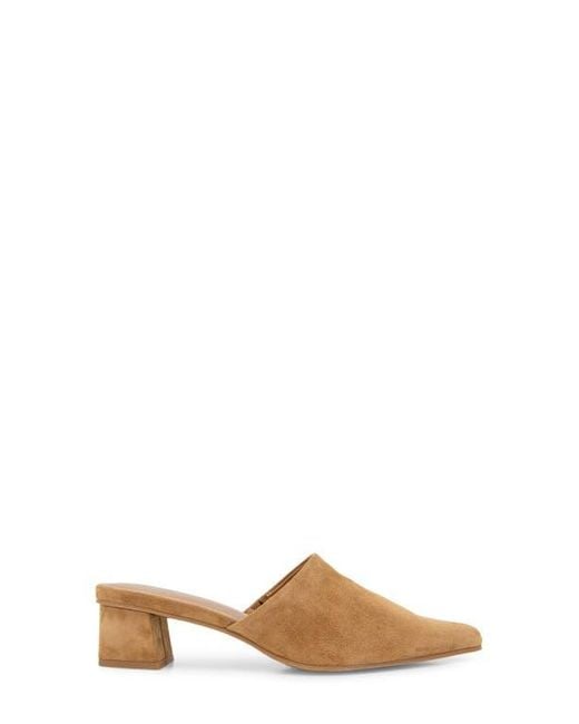 Splendid Brown Lyn Suede Mule Heel