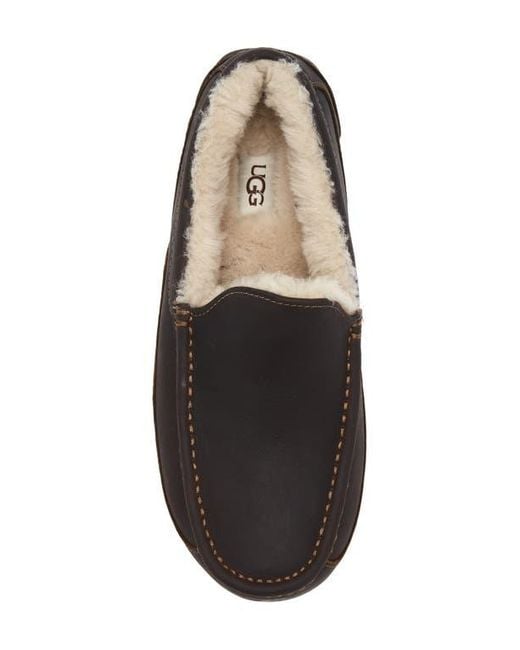 Ugg Multicolor Ascot Slipper for men