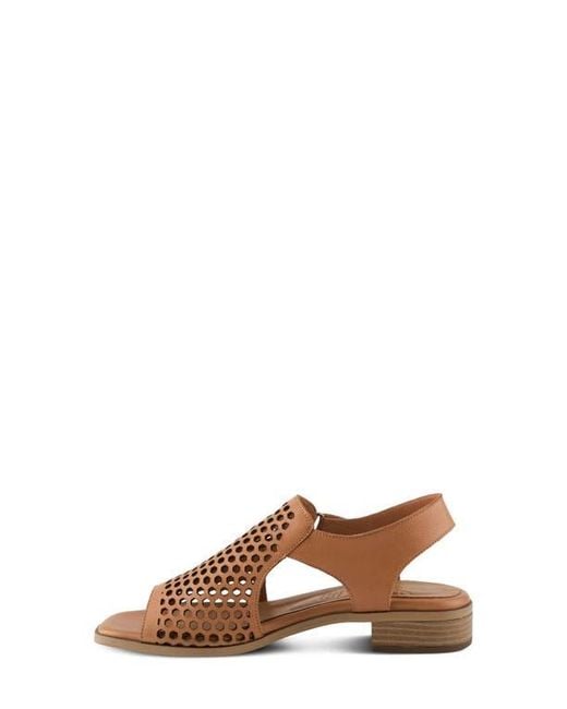 Spring Step Brown Gosset Sandal