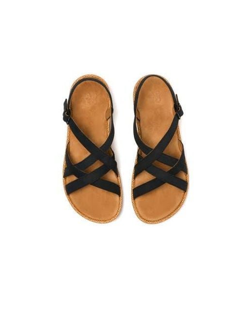 ABEO Blue Soleil Cross