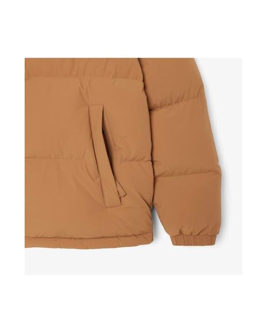 Lacoste Brown Water Repellent Down Puffer Jacket for men