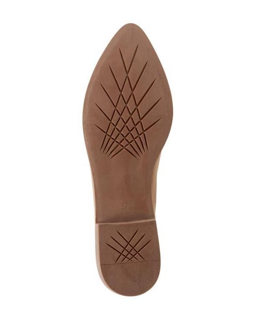 BUENO Brown Blazey Pointed Toe Flat