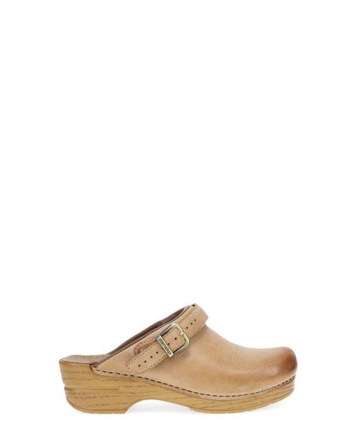 Dansko Multicolor Ingrid Clog