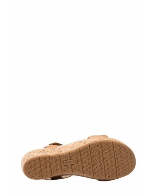 ABEO Brown Riviera Strap Sandal