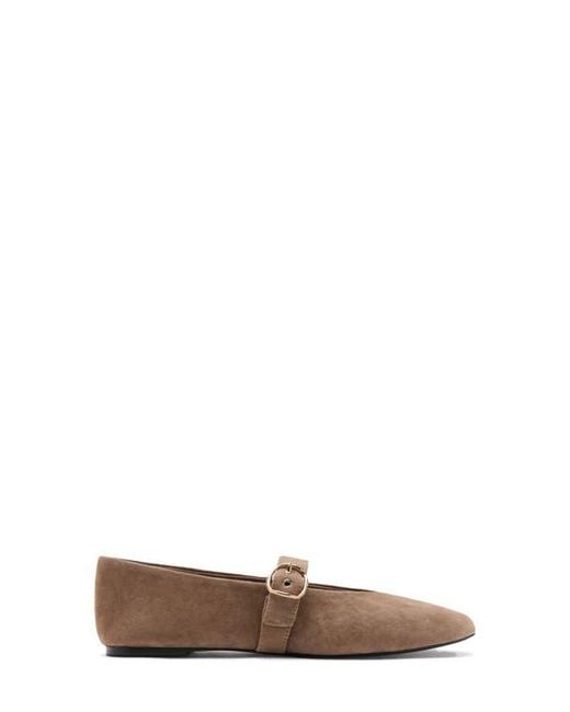 Mango Brown Mary Jane Ballet Flat