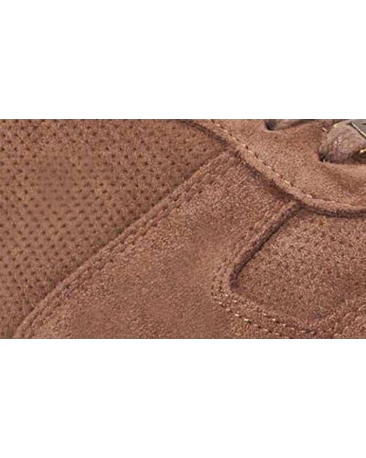 Dune Brown Trilogy Sneaker for men