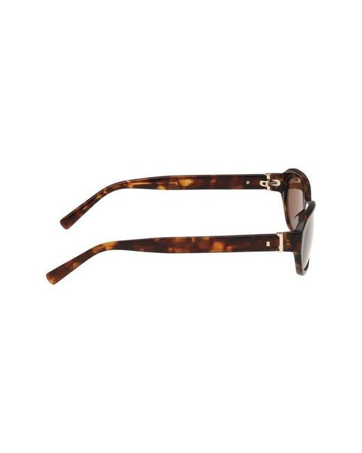 Abercrombie & Fitch Brown 52Mm Oval Sunglasses