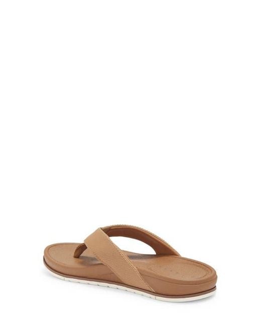 Reef Brown Cushion Bonzer Flip Flip for men