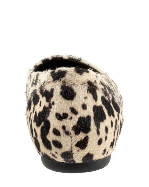 Softwalk® Black Sonoma Genuine Calf Hair Flat