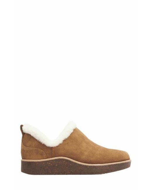 ABEO Brown Pioneer Bootie