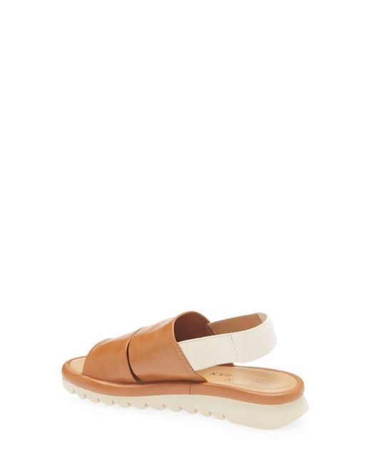 The Flexx Multicolor Wave Too Slingback Sandal