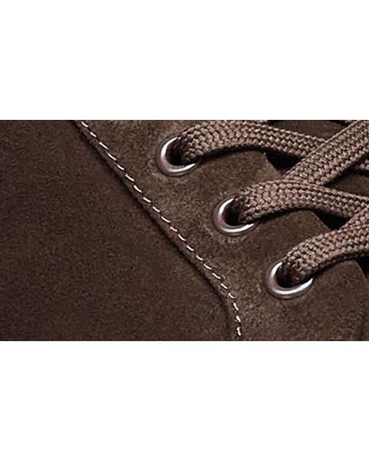 Allen Edmonds Brown Barnes Low Top Sneaker for men