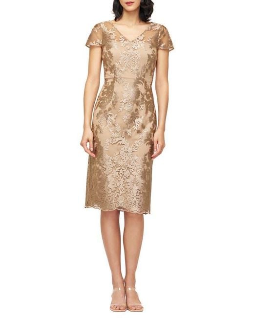 long sleeve winter cocktail dress Seta T Women's Wrap Dresses V Neck Elegant Party Work Knee Length with Pockets Small Apricot : Clothing, Shoes & Jewelry Size:42 (UK 14) Swatch:#4d231e Spaghetti Strap V Neck it offers an easy