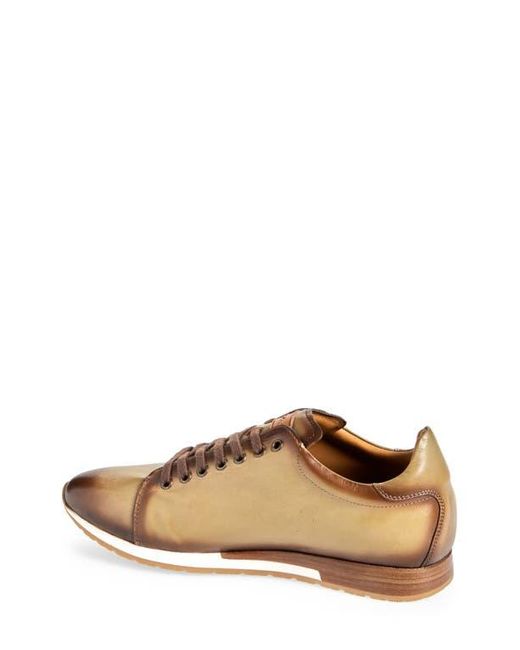 Mezlan Brown Hybrid Sneaker for men
