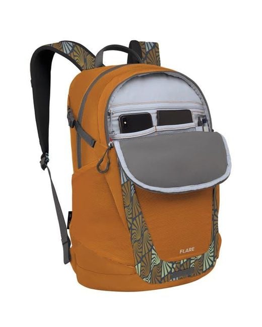 bag cover for rain WEXLEY