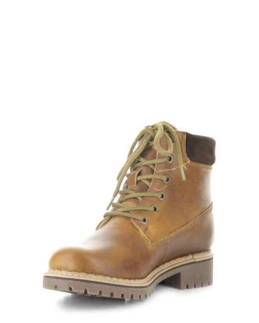 Bos. & Co. Brown Hartt Waterproof Boot