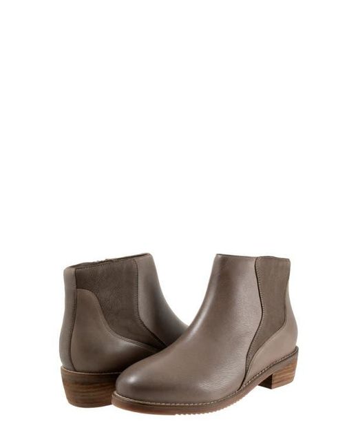 Softwalk® Brown Racine Bootie