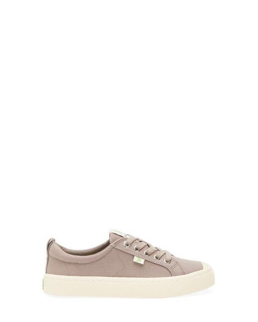 CARIUMA Gray Oca Low Cap Tie Sneaker