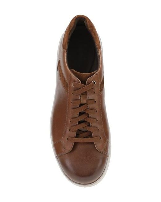 Dansko Brown Trevor Sneaker for men