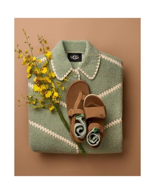 Ugg Brown Goldengaze Toe Post Suede Sandal