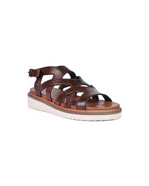 Roan Brown Centrist Sandal