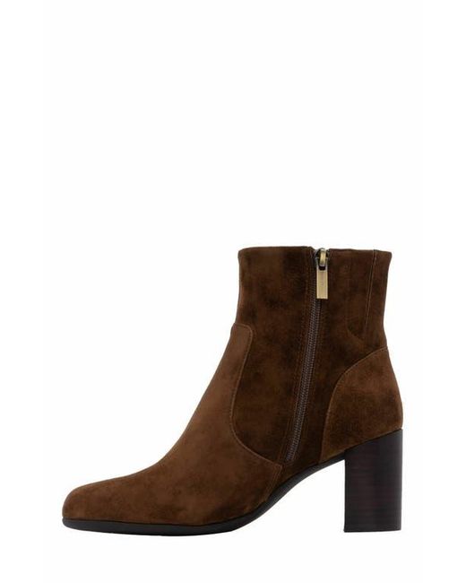 ABEO Brown Tempo Ankle Boot