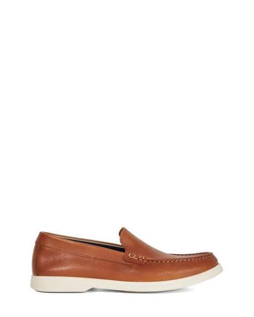 Dune Brown Buftonn Loafer for men